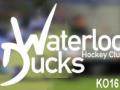 Waterloo Ducks Hockey Club